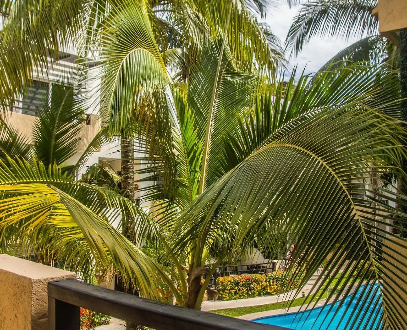 Creuza De Mae Apartment Playa del Carmen